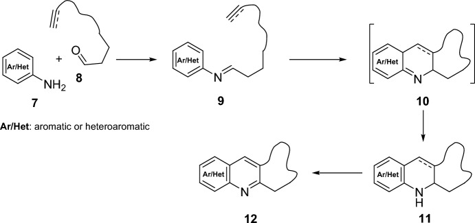Scheme 2