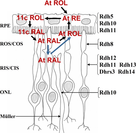 FIGURE 7.