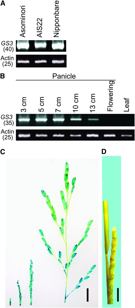 Figure 2.—