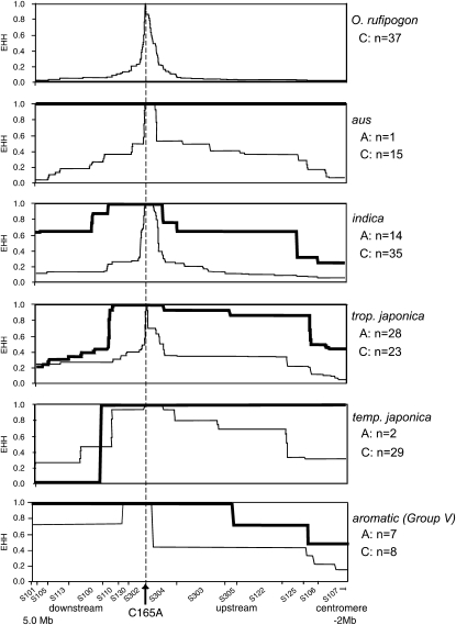 Figure 4.—