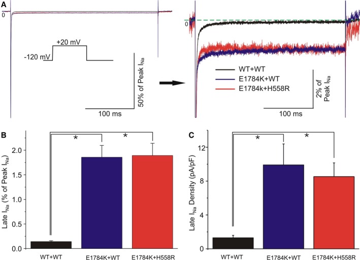 Figure 6