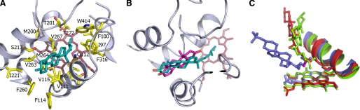 FIGURE 6.