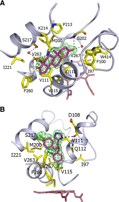 FIGURE 4.