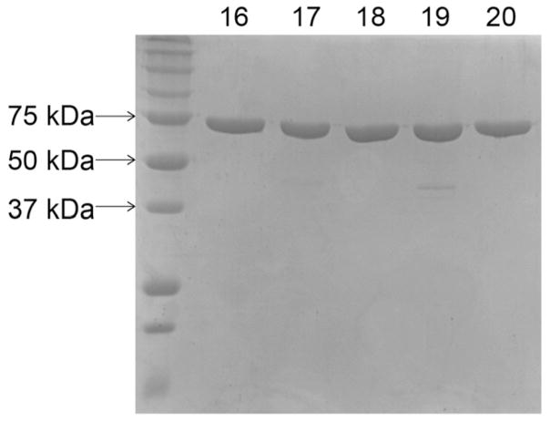 Fig. 5