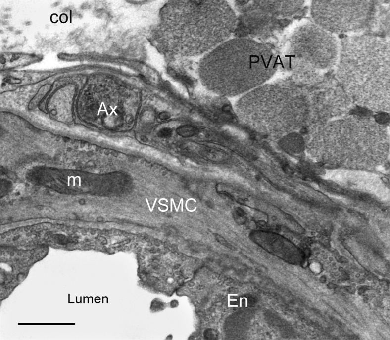 Fig. 7