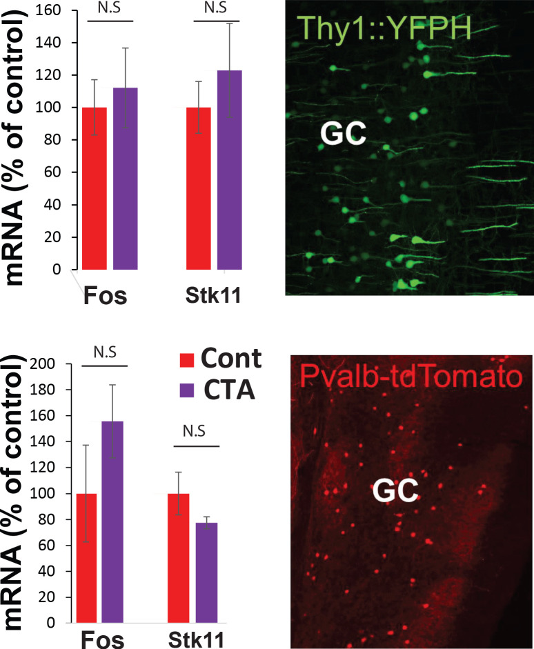 Figure 2—figure supplement 4.