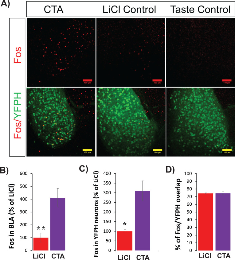 Figure 2—figure supplement 1.