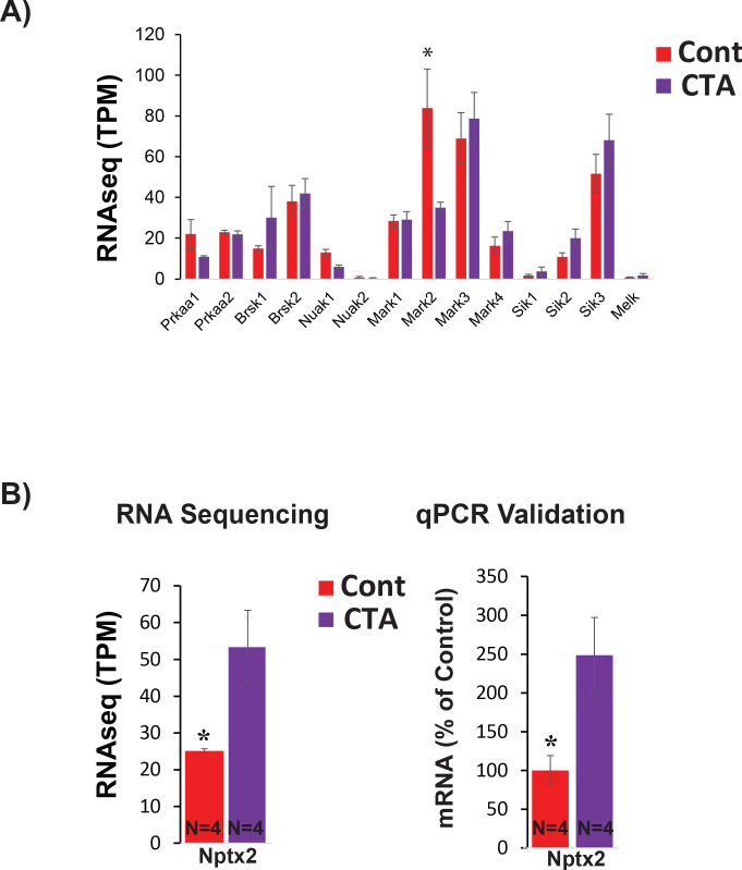 Figure 2—figure supplement 3.