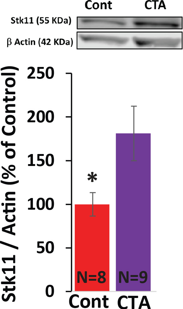 Figure 2—figure supplement 2.