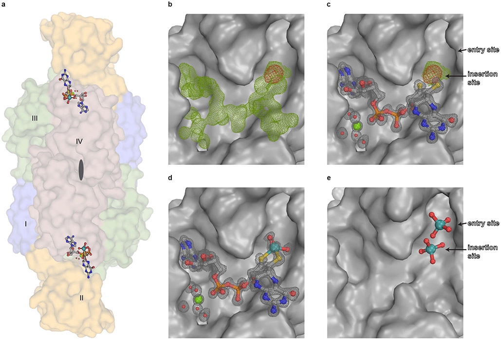 Figure 2: