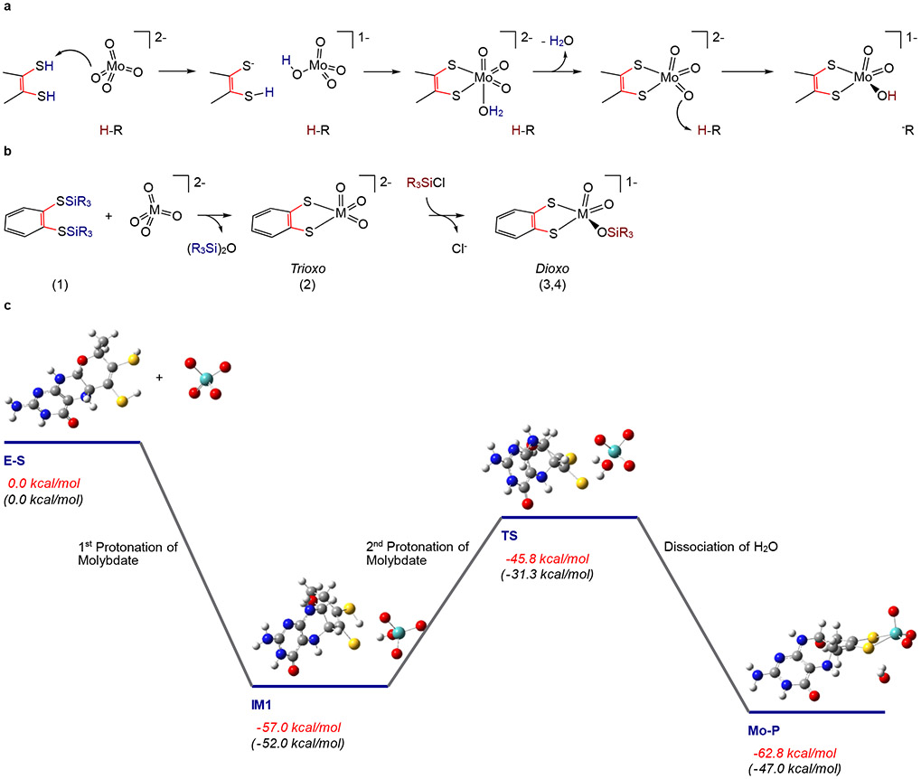 Figure 5: