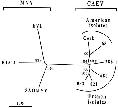 FIG. 1