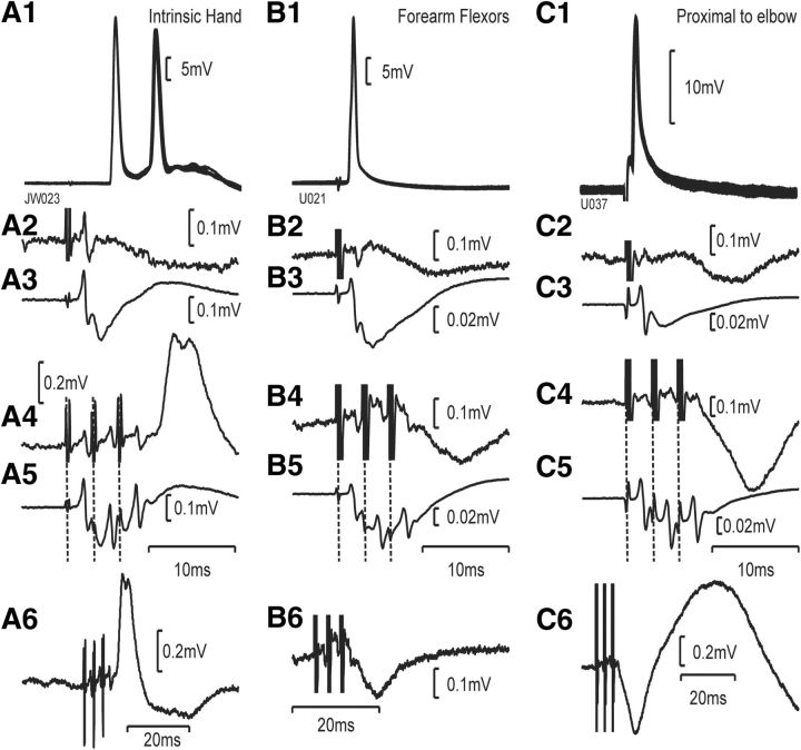 Figure 7.