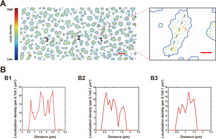 Figure 3—figure supplement 2.