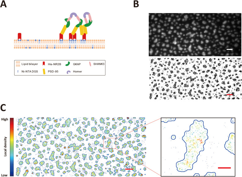 Figure 1.