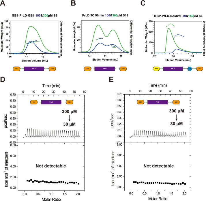 Figure 4—figure supplement 1.