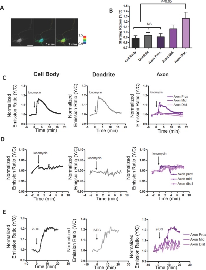 FIGURE 3: