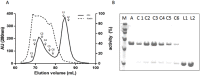 Fig 8