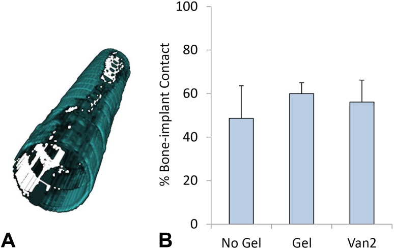 Fig. 2A–B