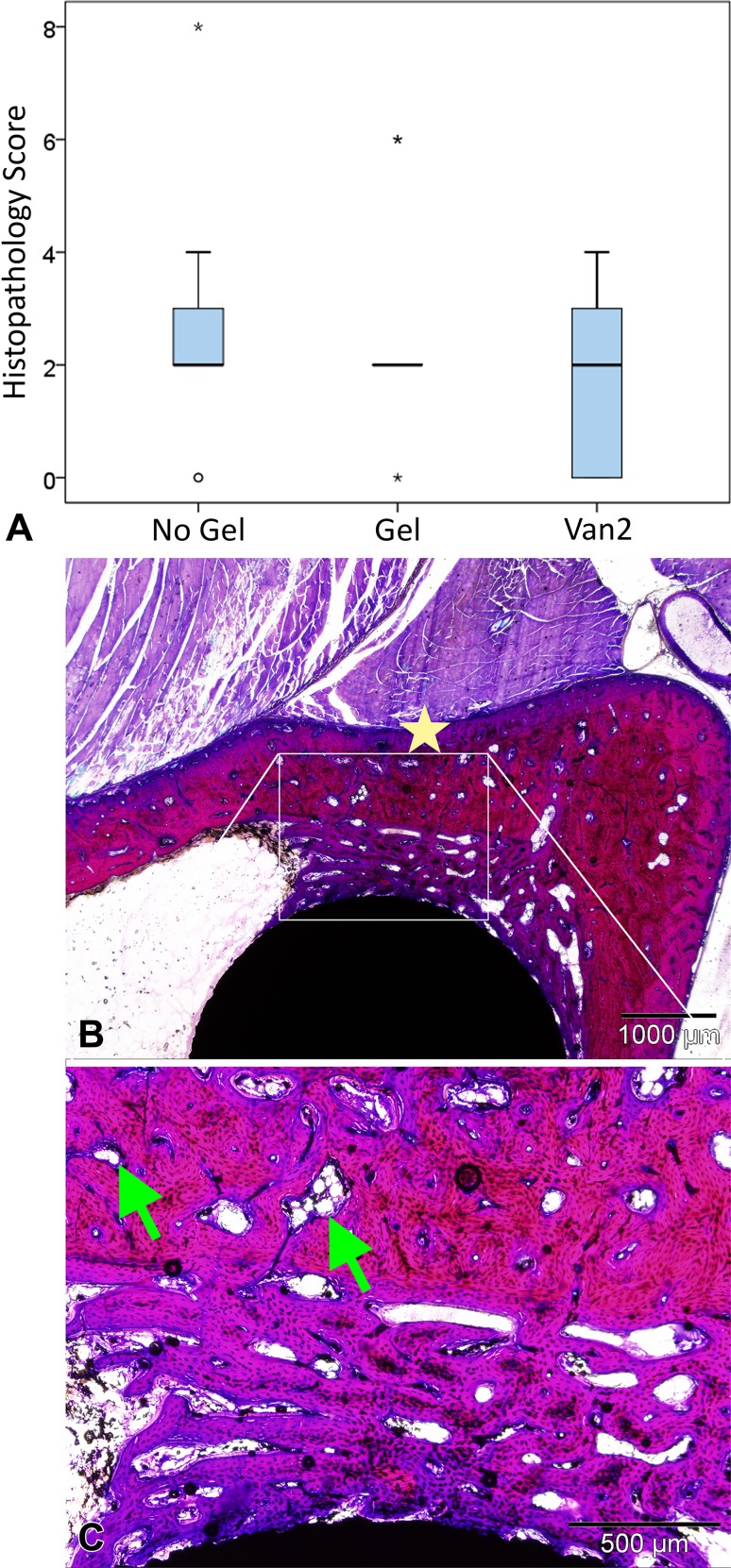 Fig. 4A–C