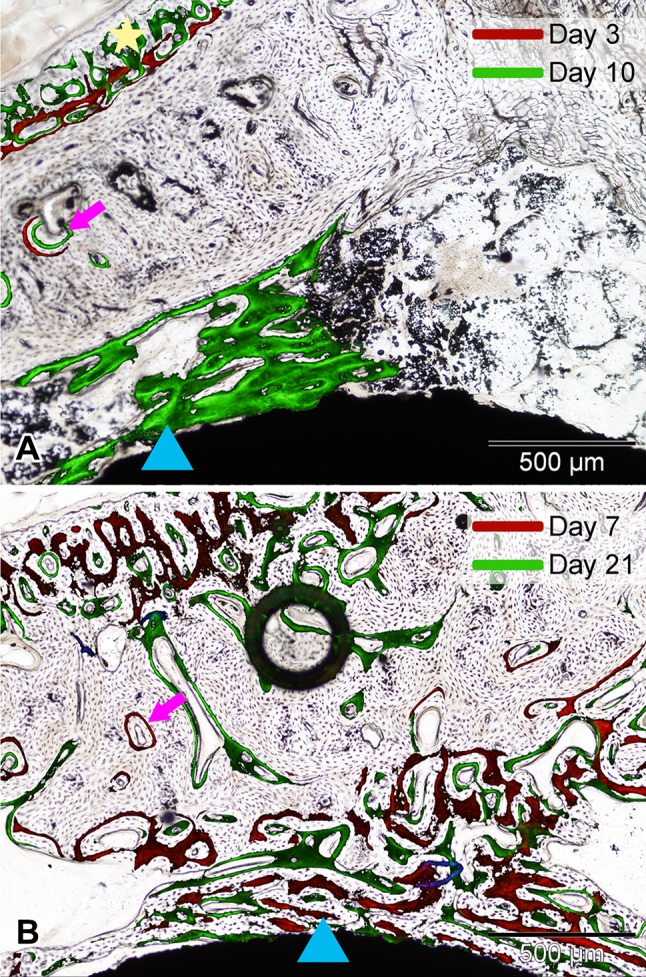 Fig. 3A–B