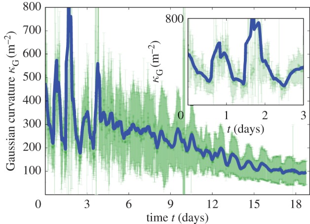 Figure 5.