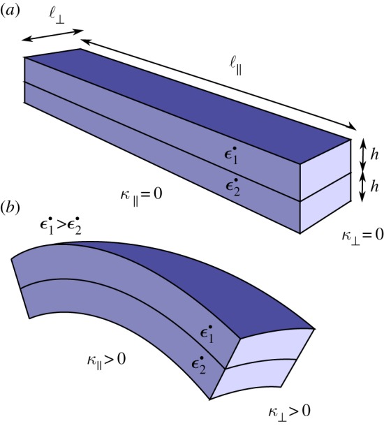 Figure 8.