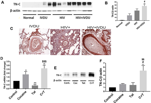 Figure 3: