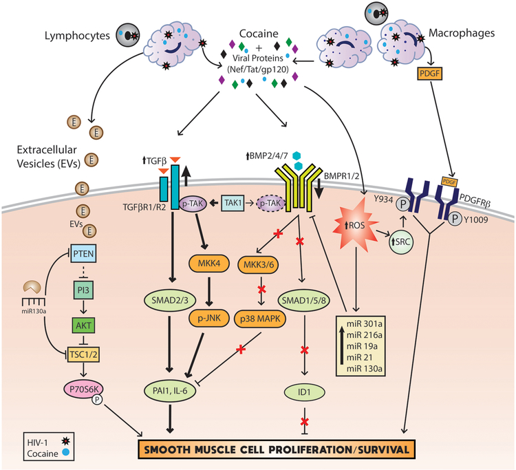 Figure 2: