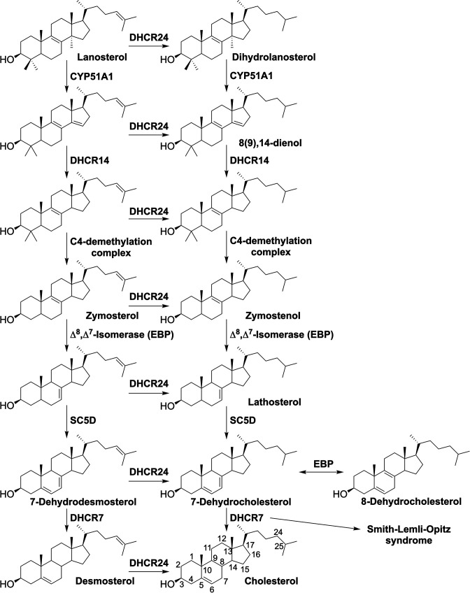 Figure 2—figure supplement 1.