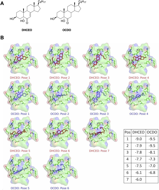 Figure 8—figure supplement 1.