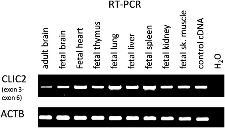 Figure 2.