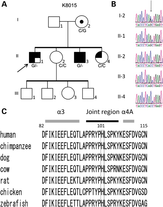 Figure 1.