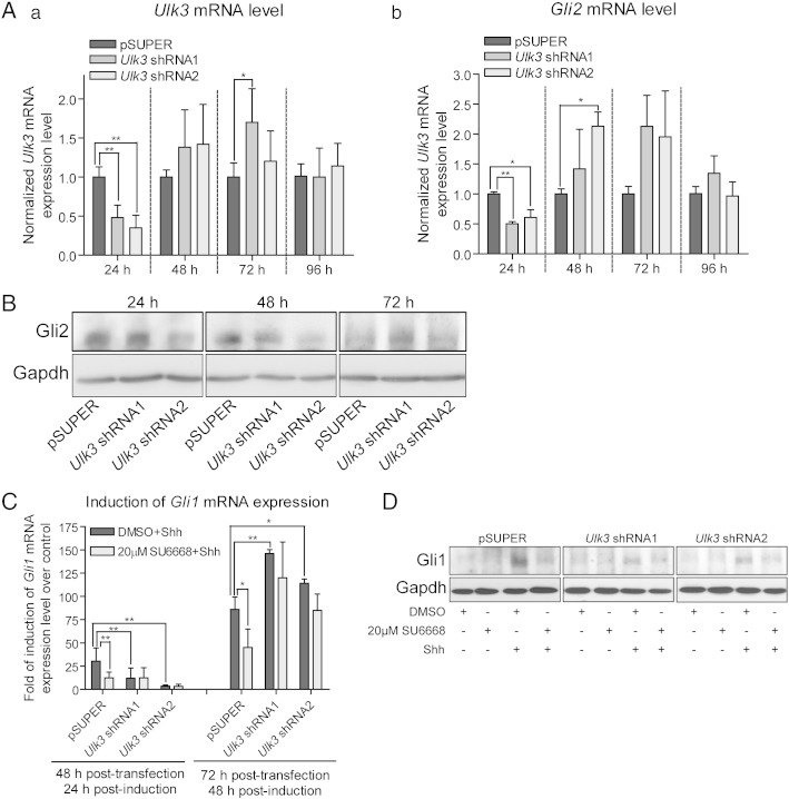 Supplementary Fig. 3