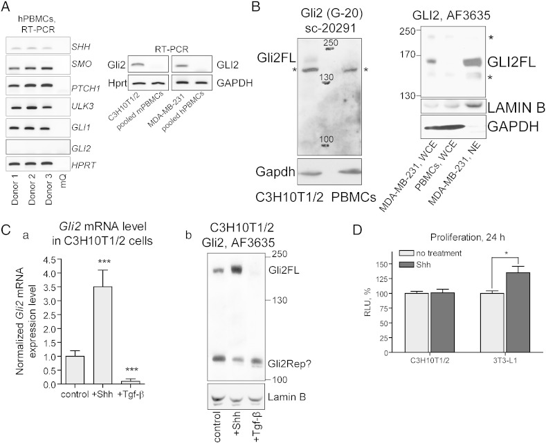 Supplementary Fig. 1