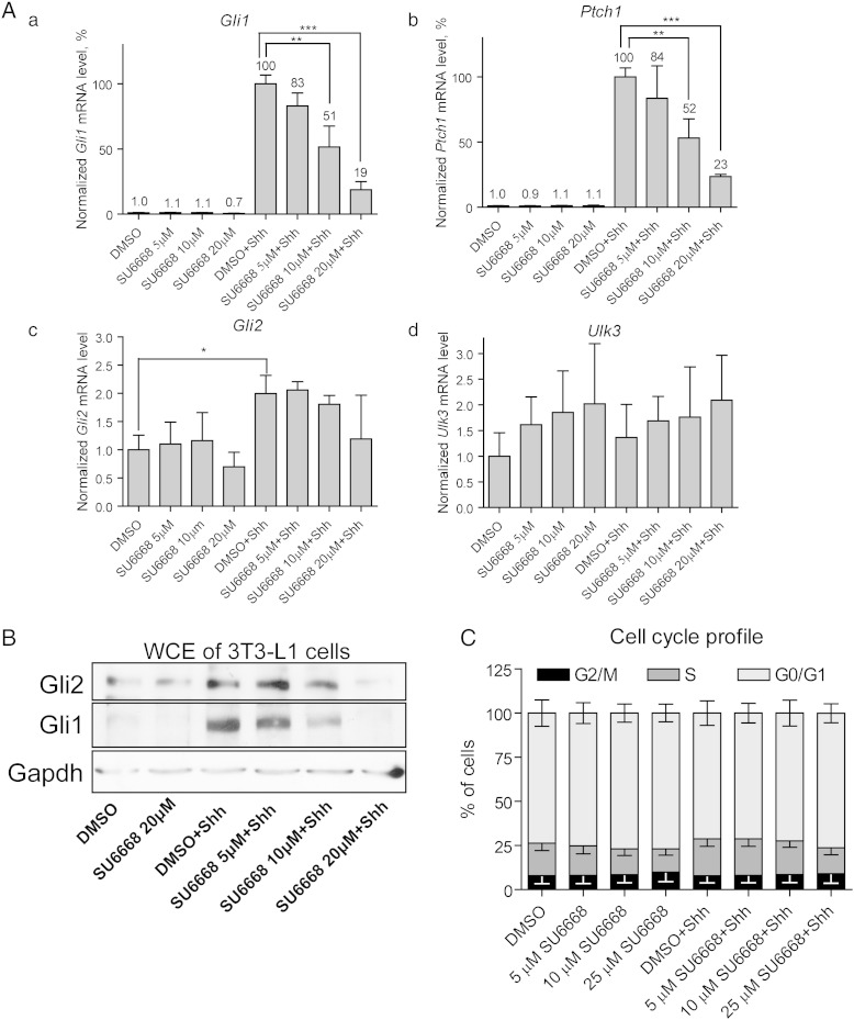 Supplementary Fig. 2