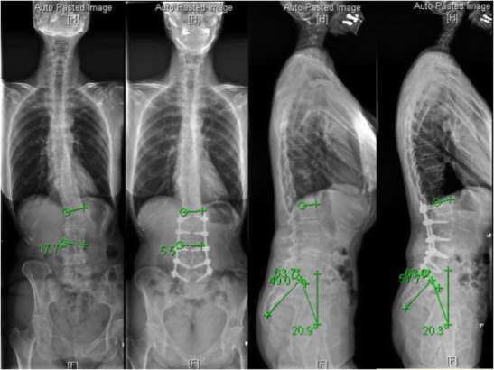 Fig. 2