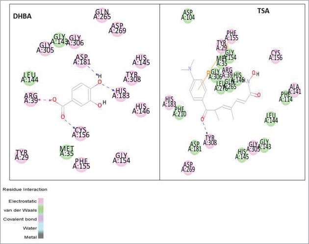 Figure 1b.