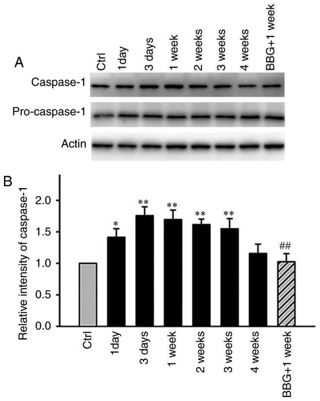 Figure 5.