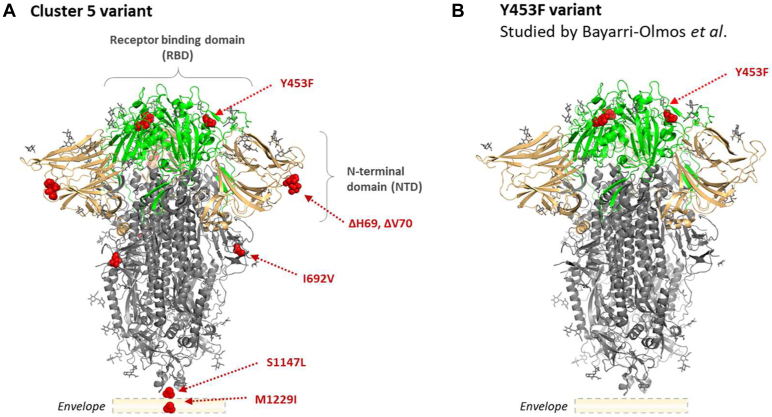 Figure 1