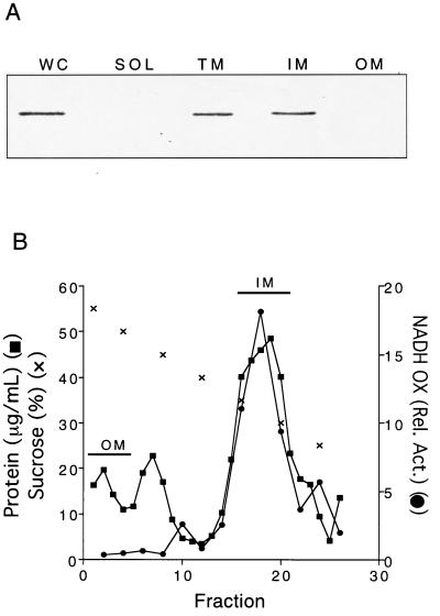 FIG. 1