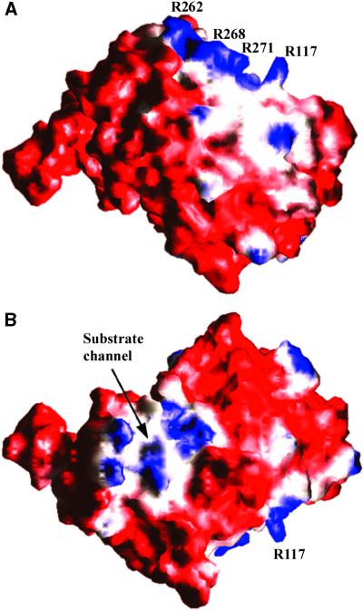 Figure 2.