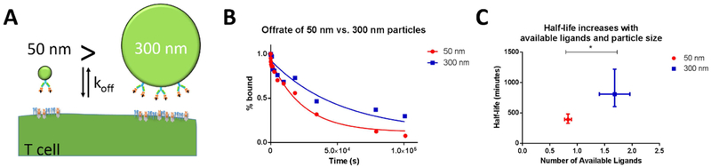 Figure 5: