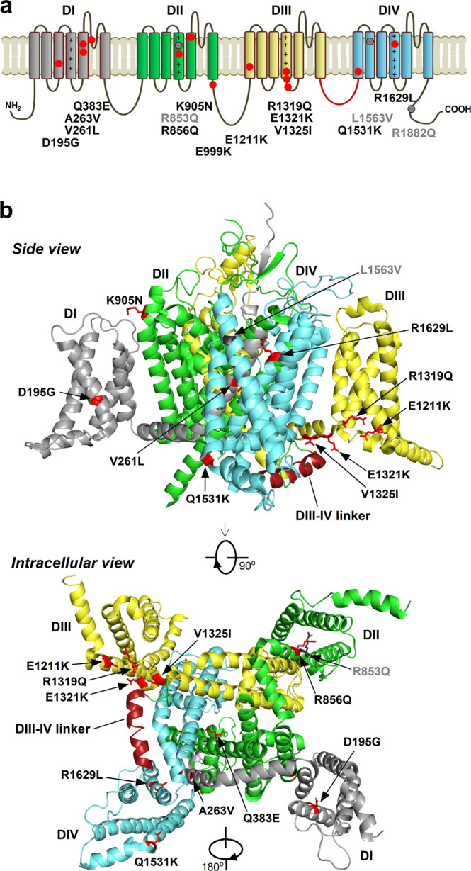 Fig. 1