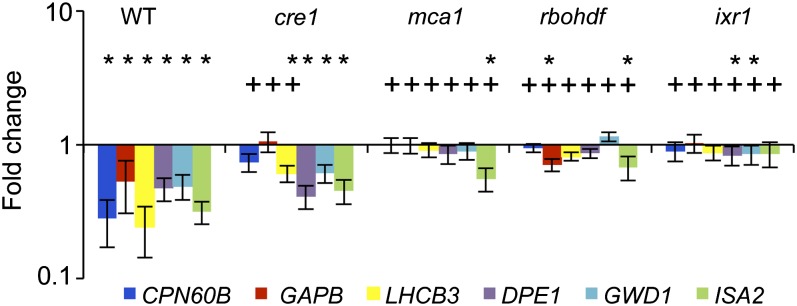 Figure 4.