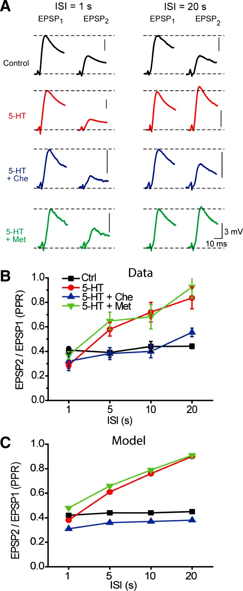 Fig. 6.