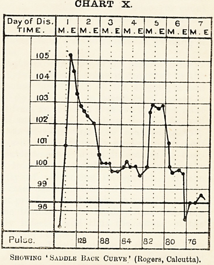 CHART X.