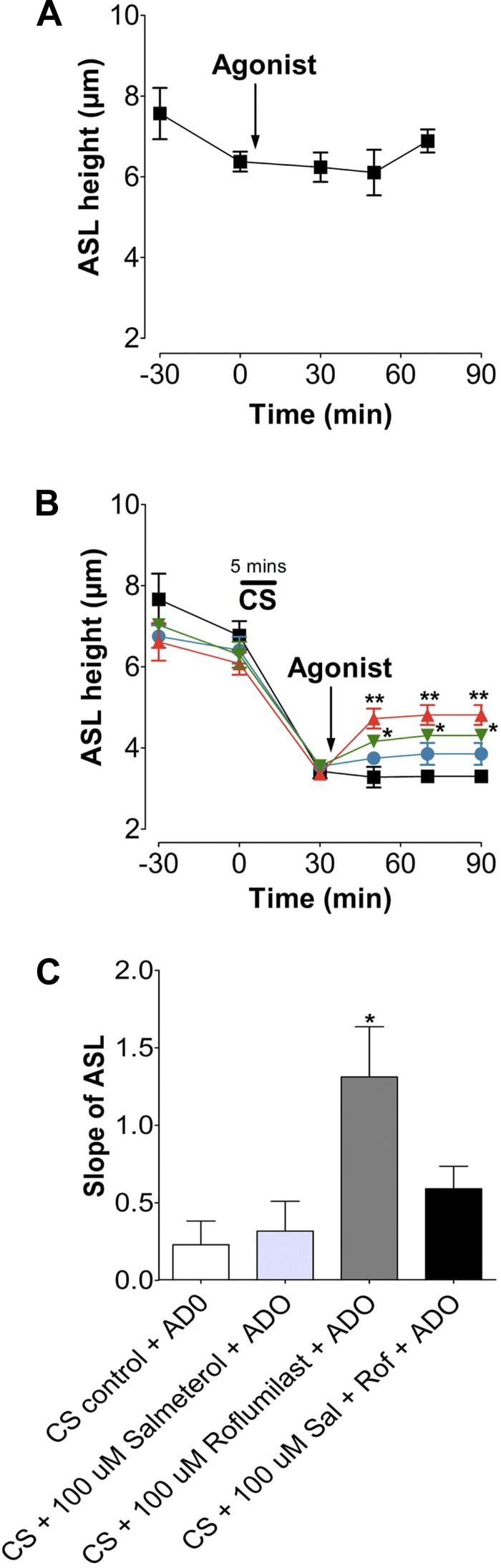 Fig. 8.