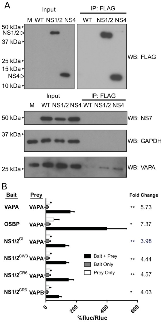 FIG 3 