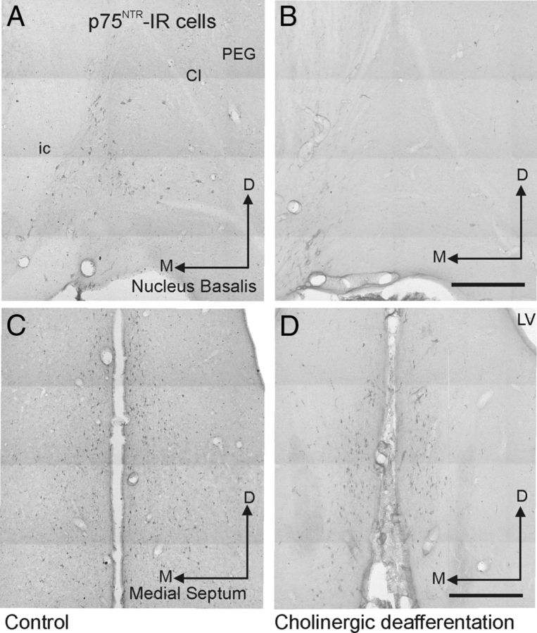 Figure 10.